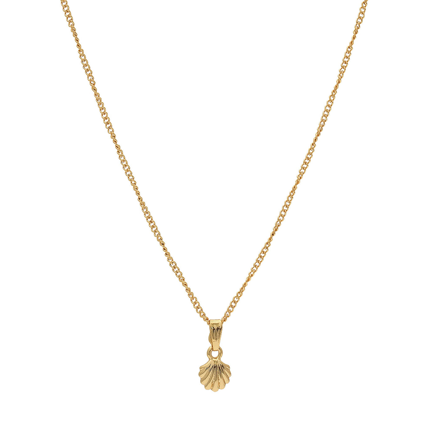 Gift Modern Gold plated Atlantic bay shell Necklace
