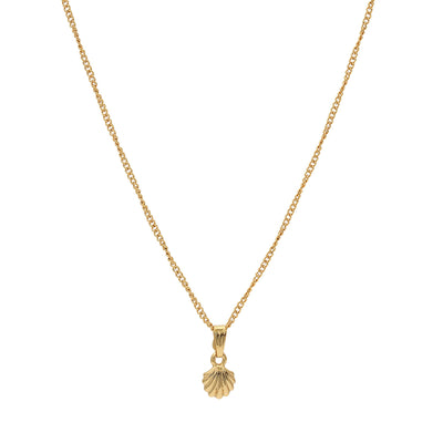 Gift Modern Gold plated Atlantic bay shell Necklace