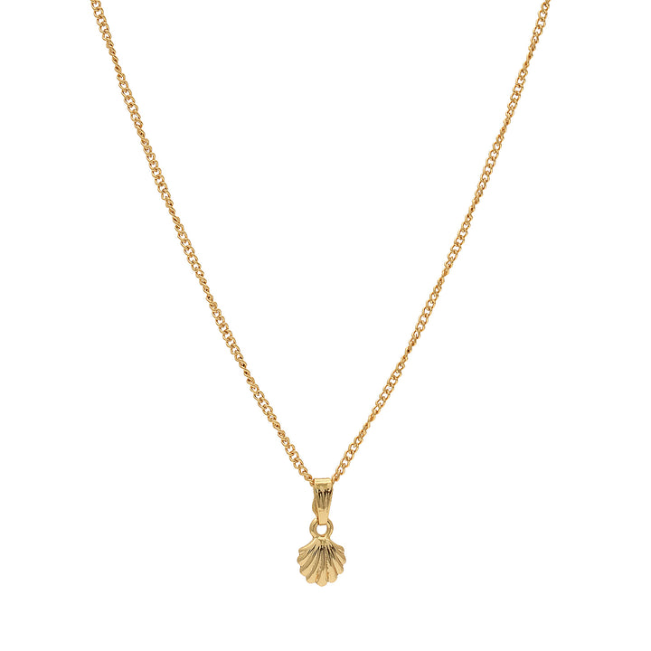 Modern Gold plated Atlantic bay shell Necklace