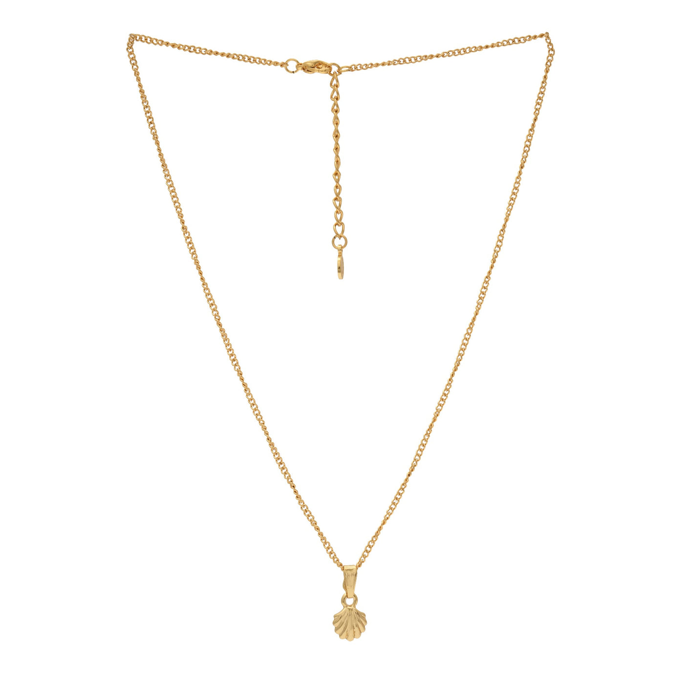 Modern Gold plated Atlantic bay shell Necklace